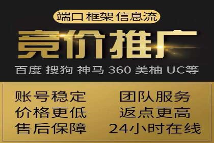 SEM广告投放的竞价策略与效果评估案例